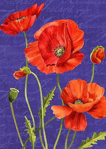 toland 1112547 明亮罂粟花 12.5 x 18 英寸(约 31.8 x 45.7 厘米)